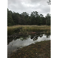 Kingtide Troop 824 image